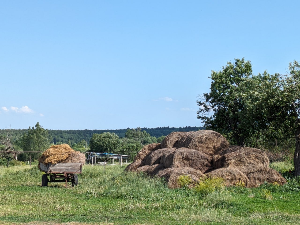 Лето моего округа. Наступила зима Лето моего округа. Наступила зима