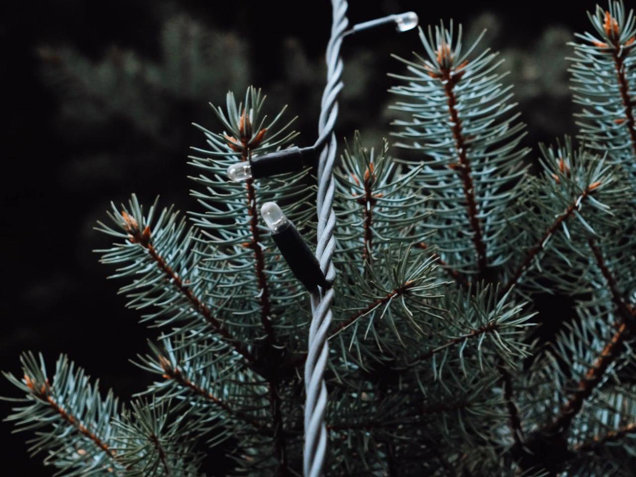 Магия зимнего вечера: мягкий свет фонарей и спокойствие любимых улиц Магия зимнего вечера: мягкий свет фонарей и спокойствие любимых улиц