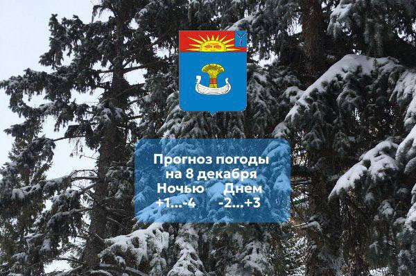 Прогноз погоды на 8 декабря 2025 года