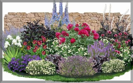 Долгожители цветочного мира: 10 многолетников, которые подарят радость на многие годы