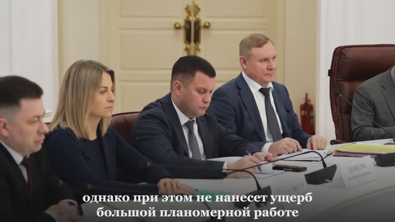 В лесхозах Саратовской области откажутся от вырубки елок для продажи к Новому году ради сохранения лесного фонда