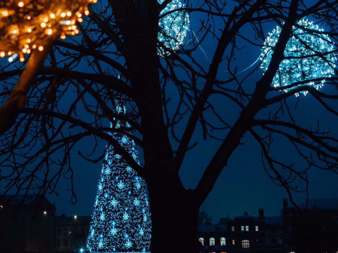 Декабрь обещает чудеса Декабрь обещает чудеса