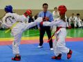 В это воскресенье в спортивном зале «Покровский» прошли областные соревнования по тхэквондо ИТФ