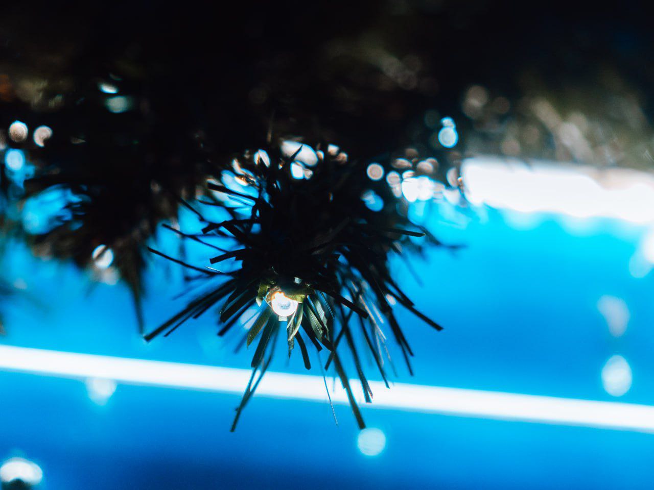 Декабрь обещает чудеса Декабрь обещает чудеса