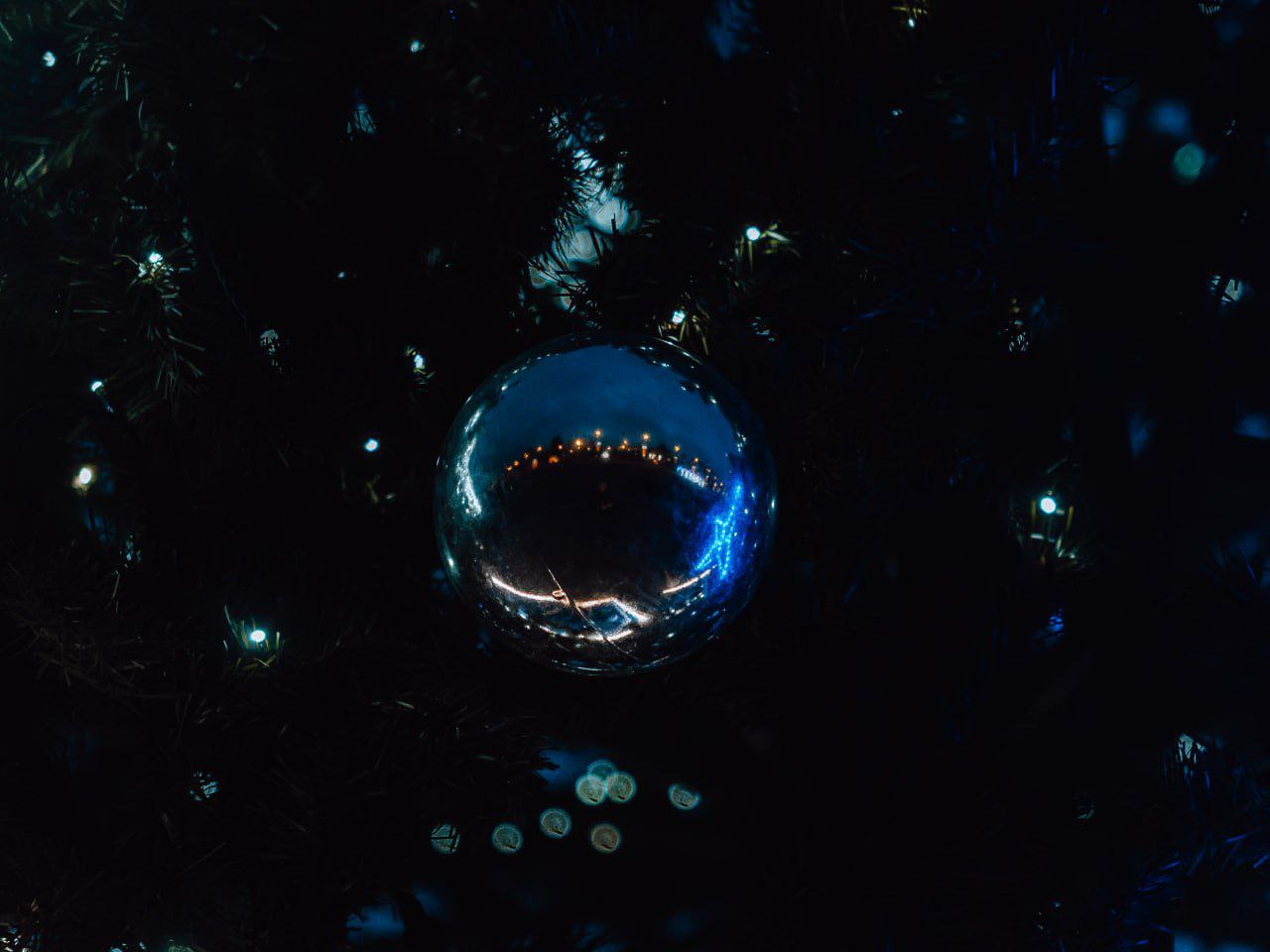 Декабрь обещает чудеса Декабрь обещает чудеса