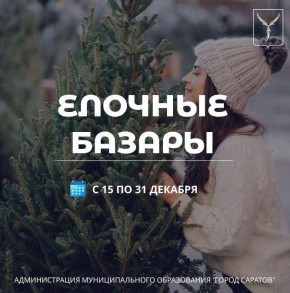 Определены места работы елочных базаров в 2025 году