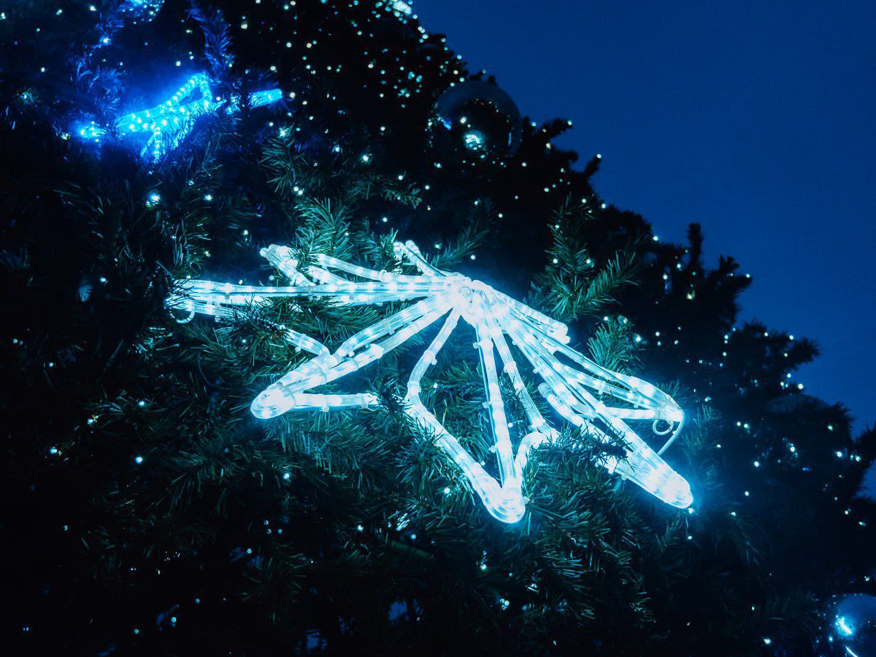 Декабрь обещает чудеса Декабрь обещает чудеса