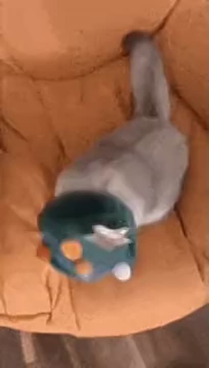 ���������: �� ���� ������ ��������� ������� ���������� ����