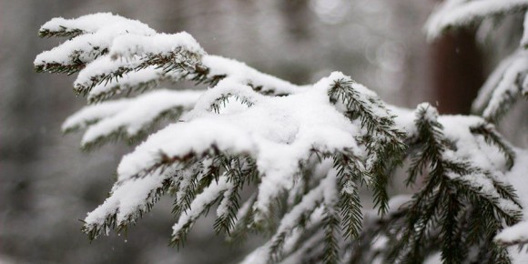 В Саратовской области прогнозируют первые снегопады и морозы до -10 градусов