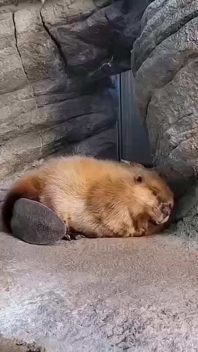 ������ ����!