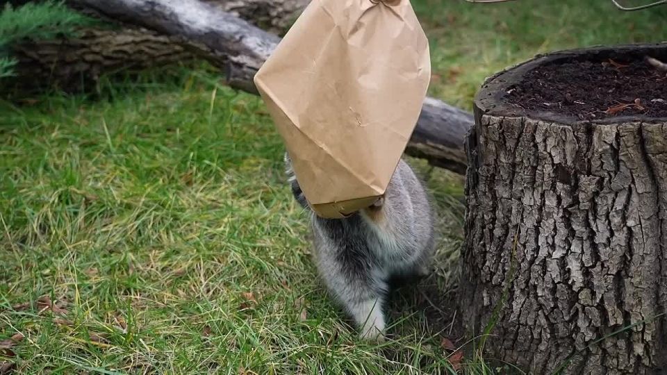 ���� ���� �������� �������� ��� �� � ����, �� � ������ ����, ����� ������� �� ����������� �������� ��������� � ����� ����