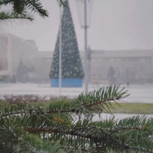 � ������ ������