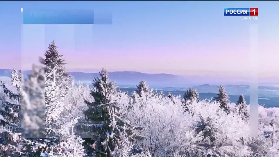 �� 9 �������