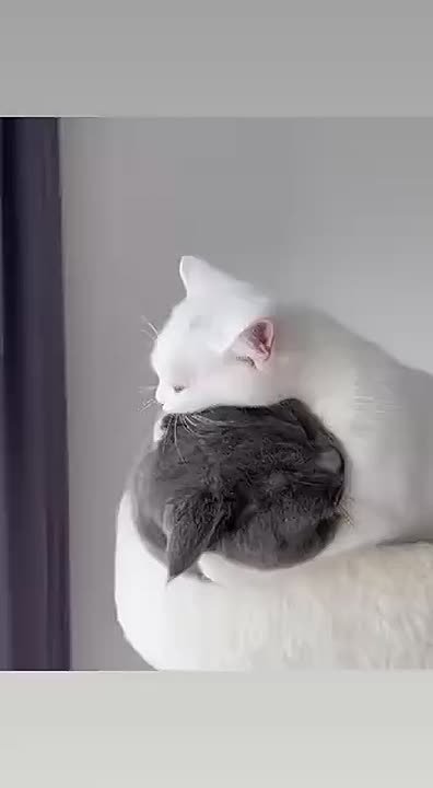 Доброго утра