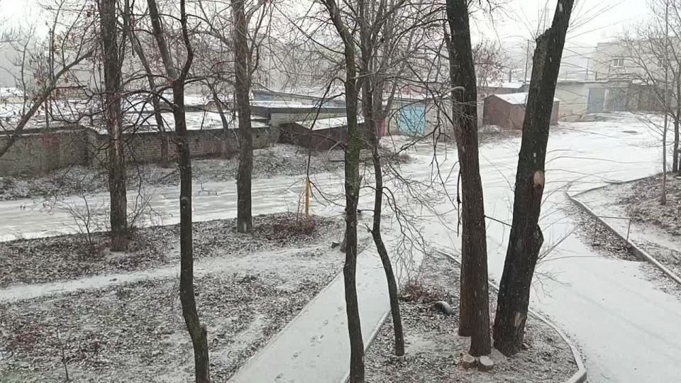 � ���� ����.... � � ����� ������ ����?) �� � MAX | �� � TG | �������� �������