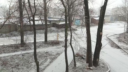   ....     ?)   MAX |   TG |  