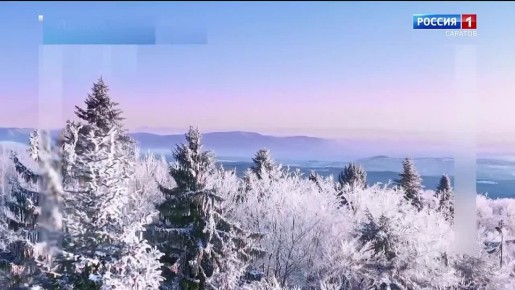 на 11 декабря