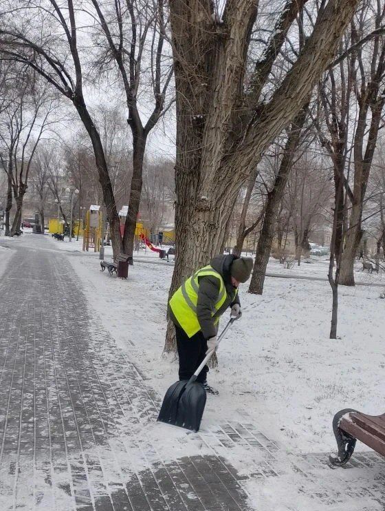 ����� � ������ ������� ������ ����