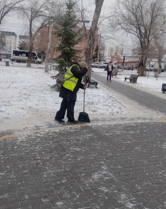 Парки и скверы украсил первый снег Парки и скверы украсил первый снег