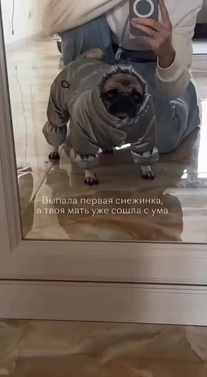 Все рады снежку?)