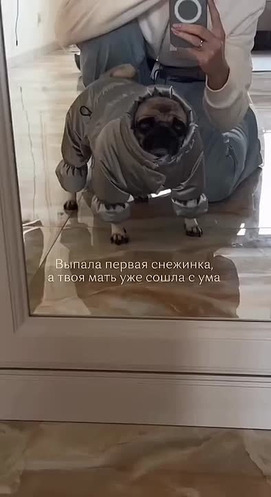 Все рады снежку?)