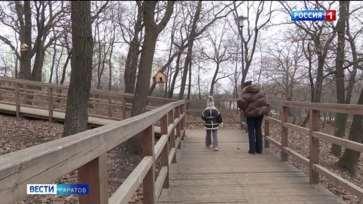 На финишной прямой. В Солнечном завершается 3-й этап развития парка у пруда «Семхоз»