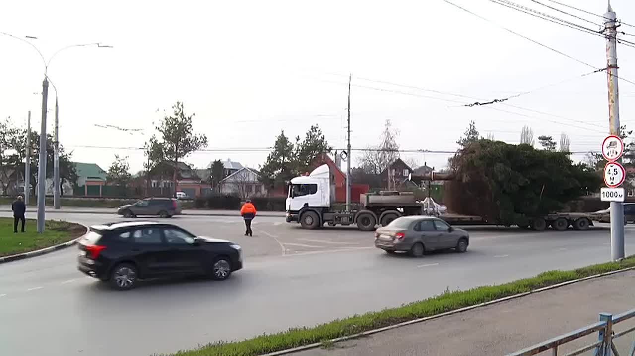 Главная новогодняя ель зажглась на центральной площади, создавая праздничную атмосферу в городе