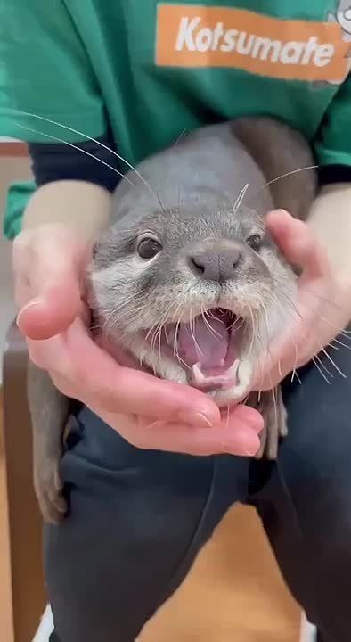 ������� ����! �� �������� �������