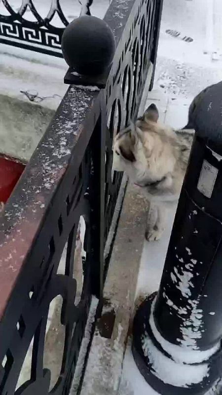 � �������� �� ����� �������� ����� ���� �� ������