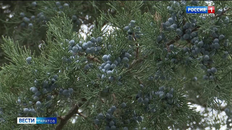 �� ���� ������ ���� ������� ������� ��������� ������ ����