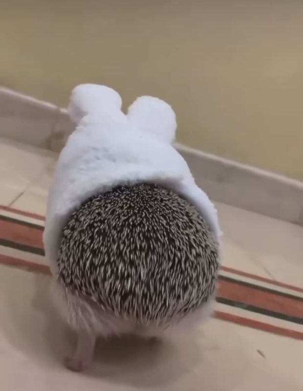 ��� ����� ����� � ���� ���������� �� ����� � �����!