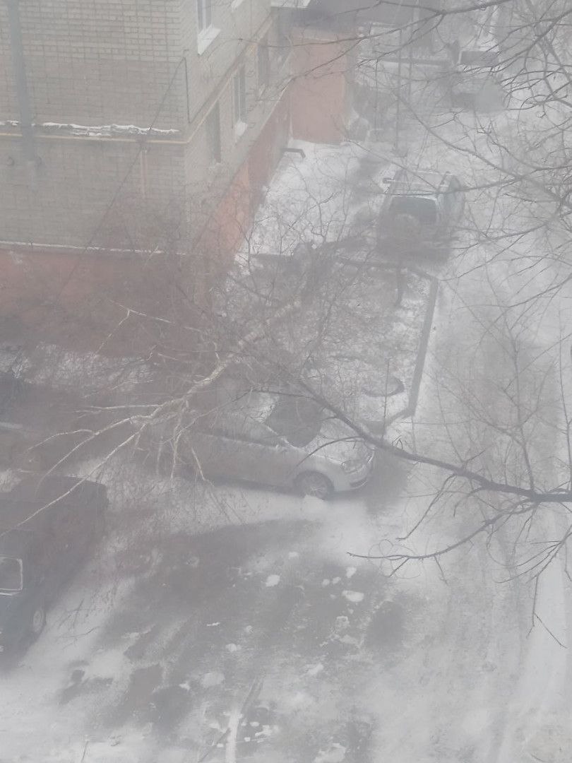 Шторм с метелью: в Саратове падают деревья, ветки, заборы, обрывает провода Шторм с метелью: в Саратове падают деревья, ветки, заборы, обрывает провода