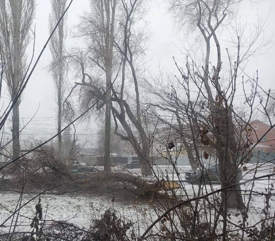 Прокуратура Октябрьского района Саратова совместно с администрацией района организовала проверки деятельности управляющих организаций и МБУ в части своевременной уборки дворовых территорий, тротуаров и дорог общего... Прокуратура Октябрьского района Саратова совместно с администрацией района организовала проверки деятельности управляющих организаций и МБУ в части своевременной уборки дворовых территорий, тротуаров и дорог общего...