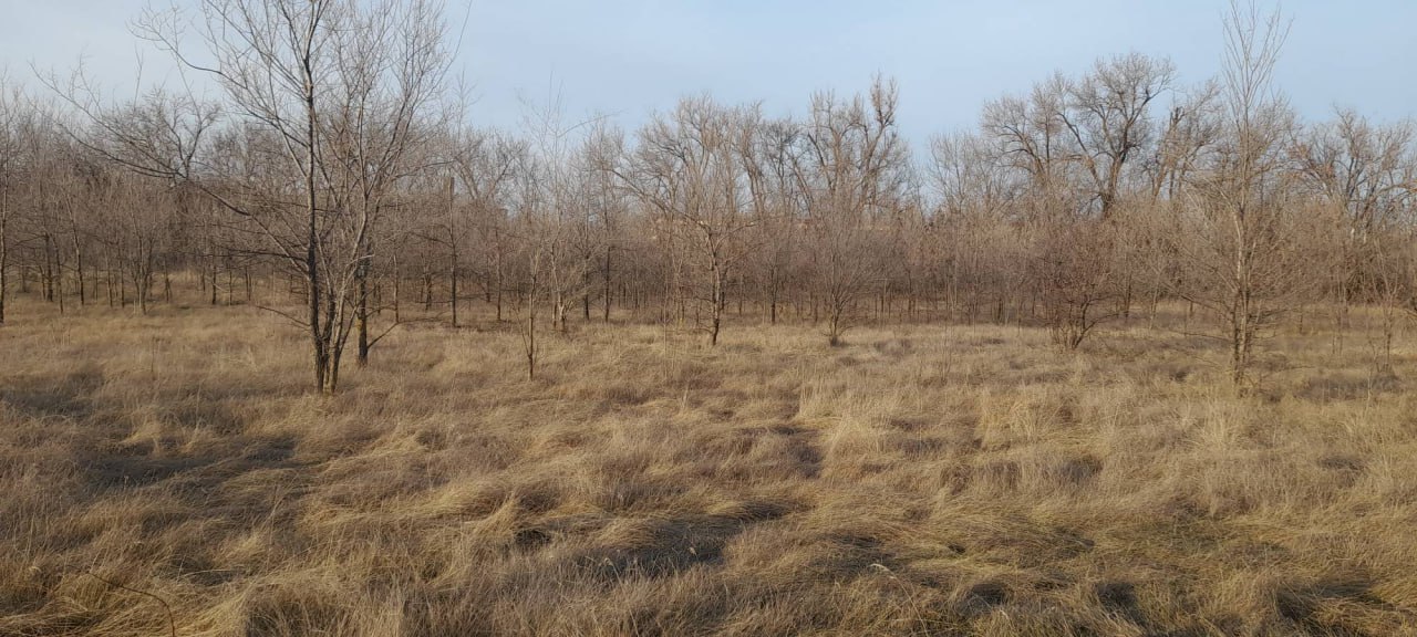 Контрольным управлением проведено выездное обследование земельного участка сельскохозяйственного назначения