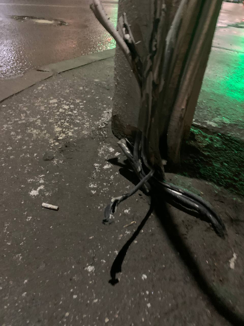 В центре Саратова собаку ударило током