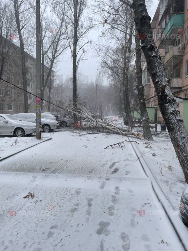 �������� � ����������� �������