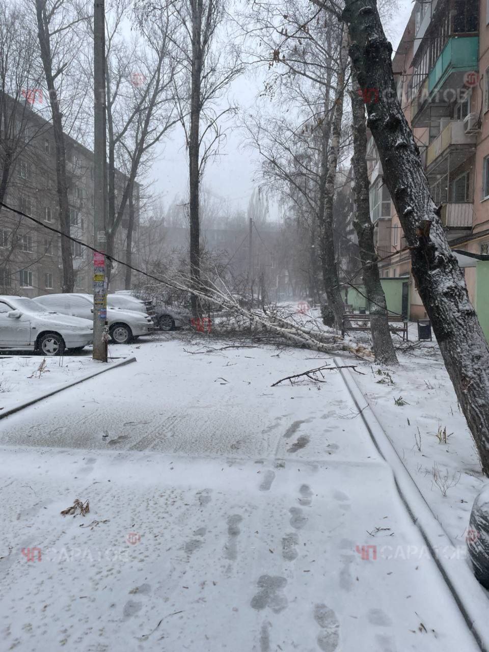Непогода в Саратовской области