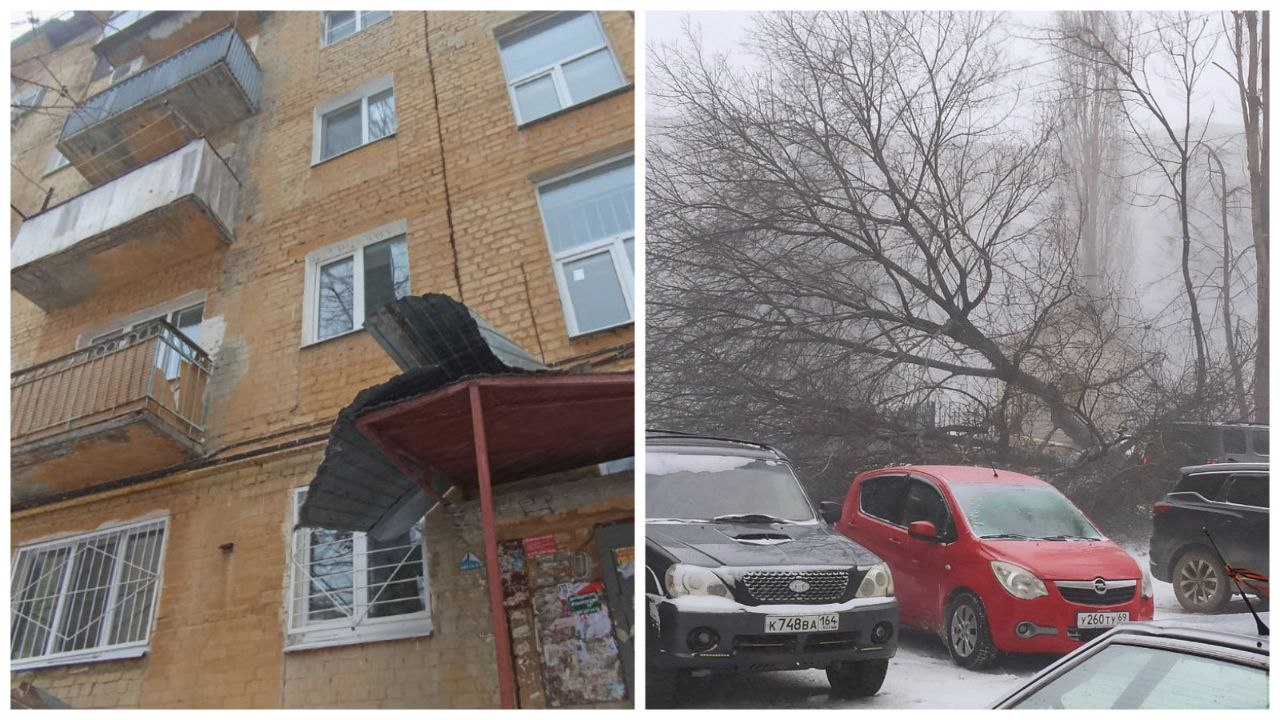 Шторм с метелью: в Саратове падают деревья, ветки, заборы, обрывает провода