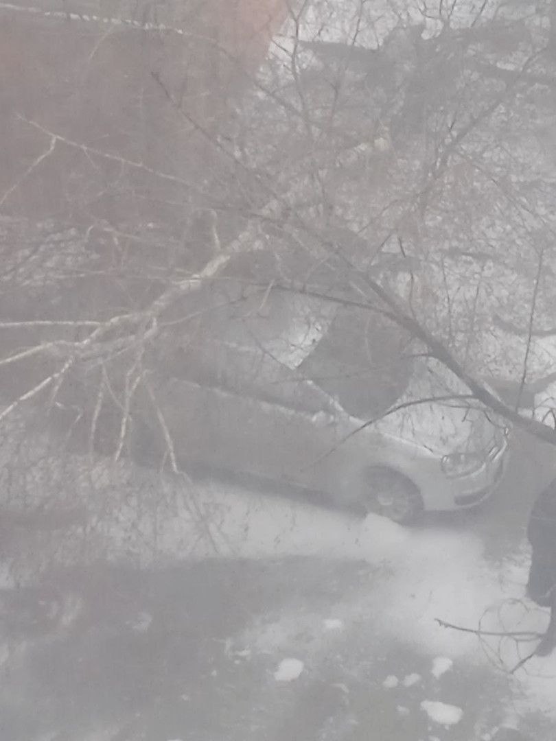 Шторм с метелью: в Саратове падают деревья, ветки, заборы, обрывает провода Шторм с метелью: в Саратове падают деревья, ветки, заборы, обрывает провода