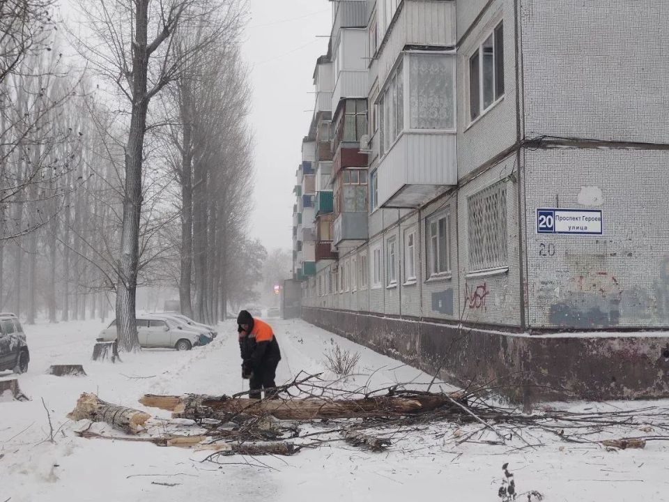 ���������� ��������� ��������������� ��������� ����������� ��������