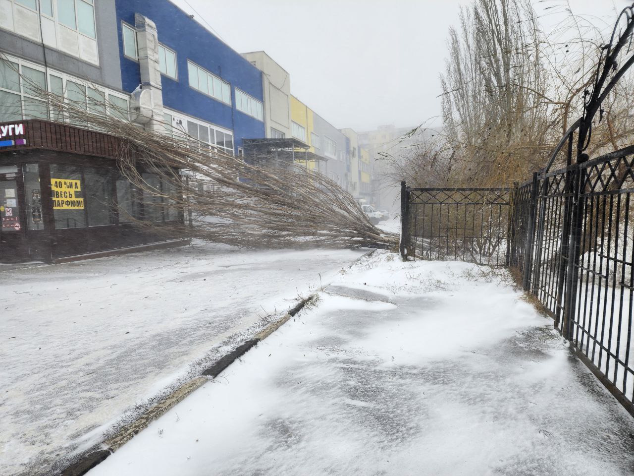 Непогода продолжает валить деревья Непогода продолжает валить деревья