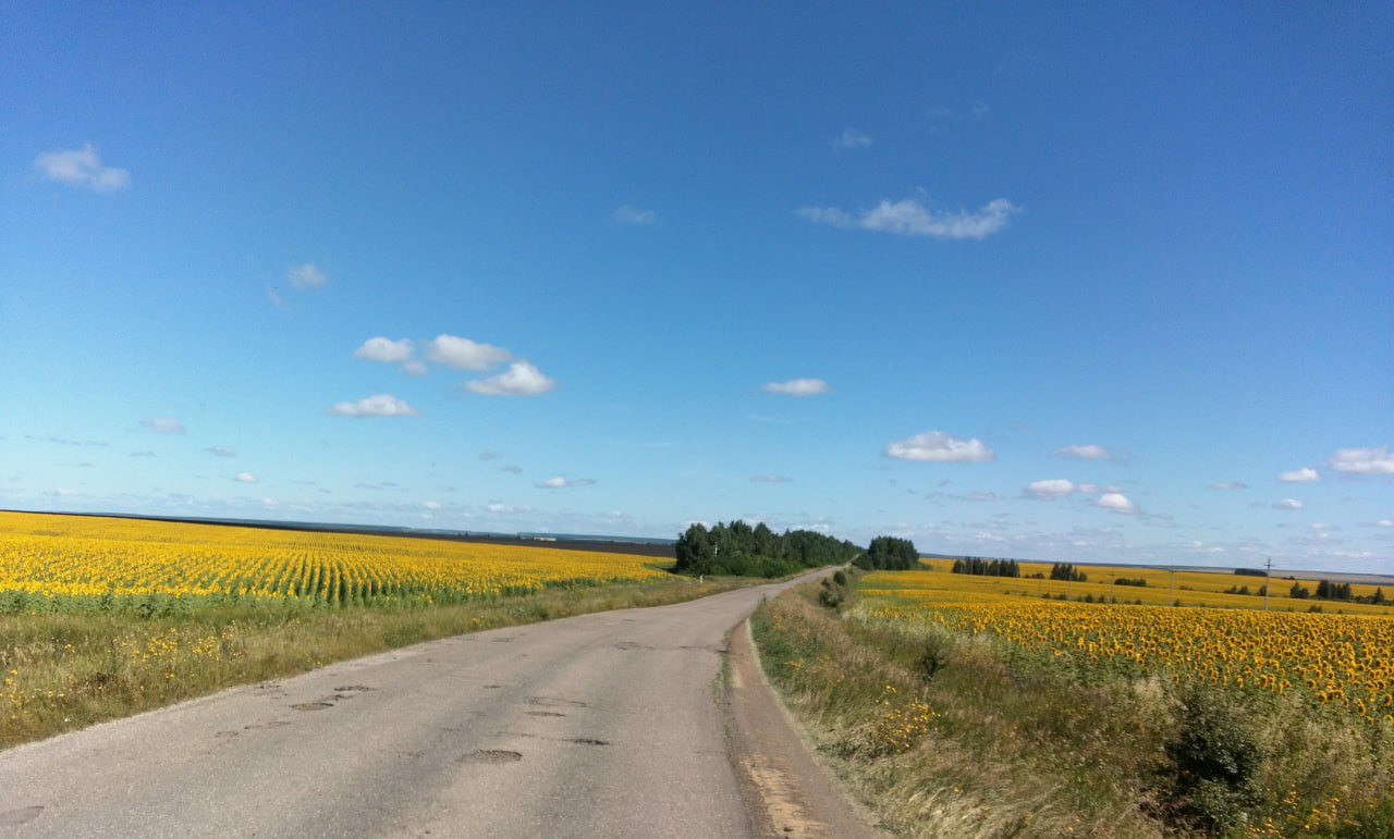 Лето моего округа II. Продолжаю цикл летних фотозарисовок «Лето моего округа» Вчера бушевала зимняя стихия
