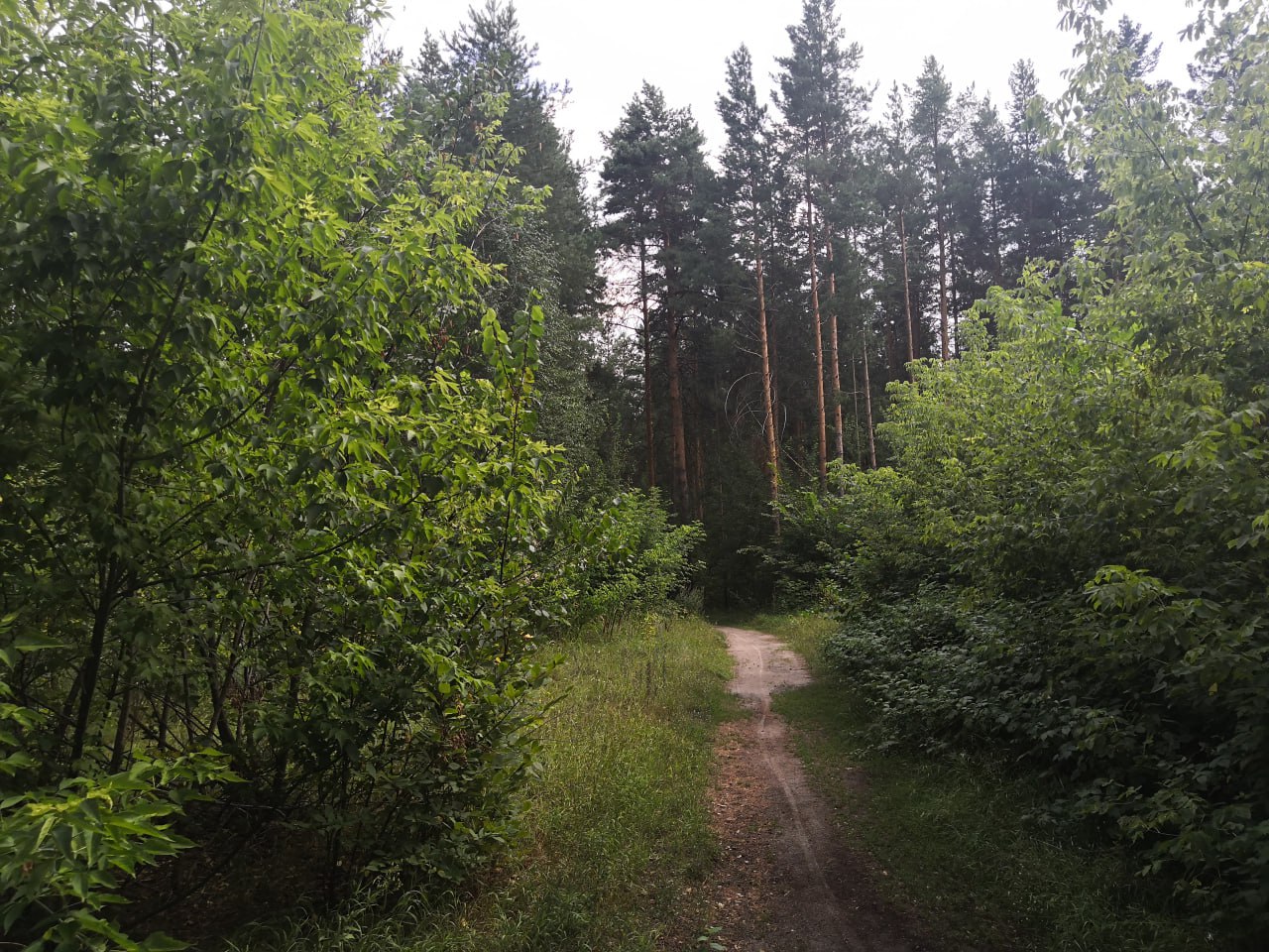 Лето моего округа II. Продолжаю цикл летних фотозарисовок «Лето моего округа» Вчера бушевала зимняя стихия Лето моего округа II. Продолжаю цикл летних фотозарисовок «Лето моего округа» Вчера бушевала зимняя стихия