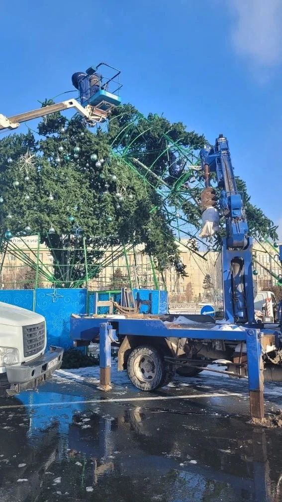 Главную елку Саратова восстановят до Нового года