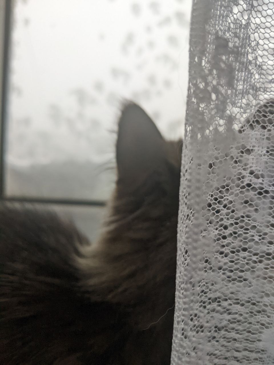 Сегодня воскресенье, 14 декабря Сегодня воскресенье, 14 декабря