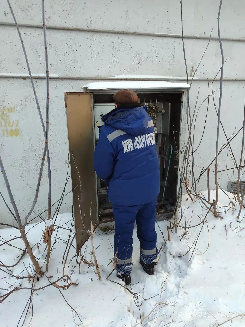 Главную елку Саратова восстановят до Нового года Главную елку Саратова восстановят до Нового года