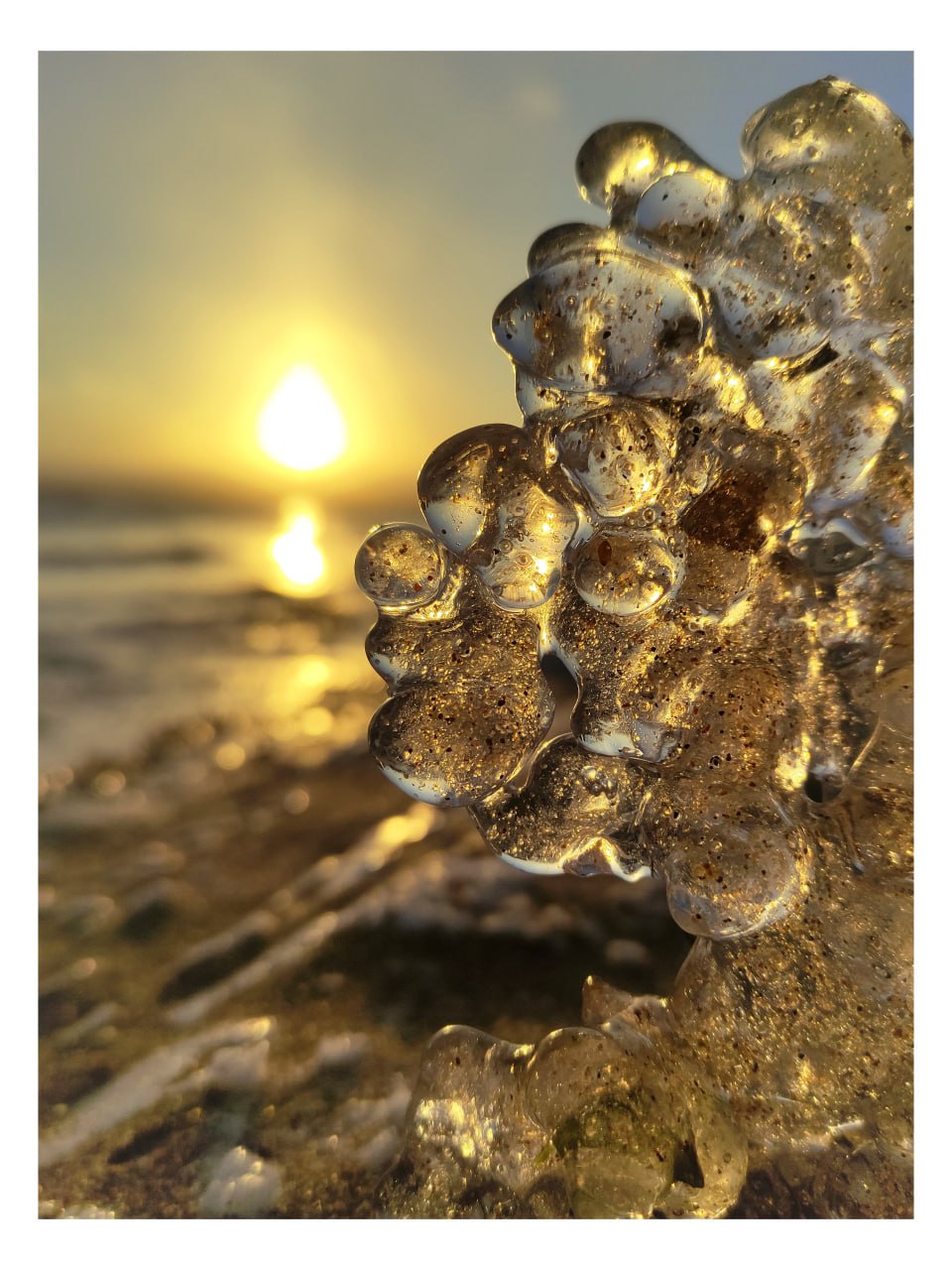 "Грозди винограда" на берегу Волги "Грозди винограда" на берегу Волги