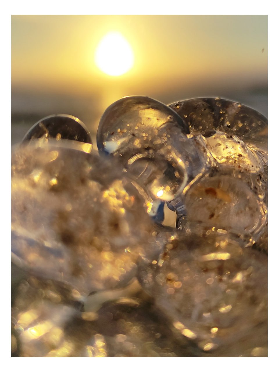 "Грозди винограда" на берегу Волги "Грозди винограда" на берегу Волги