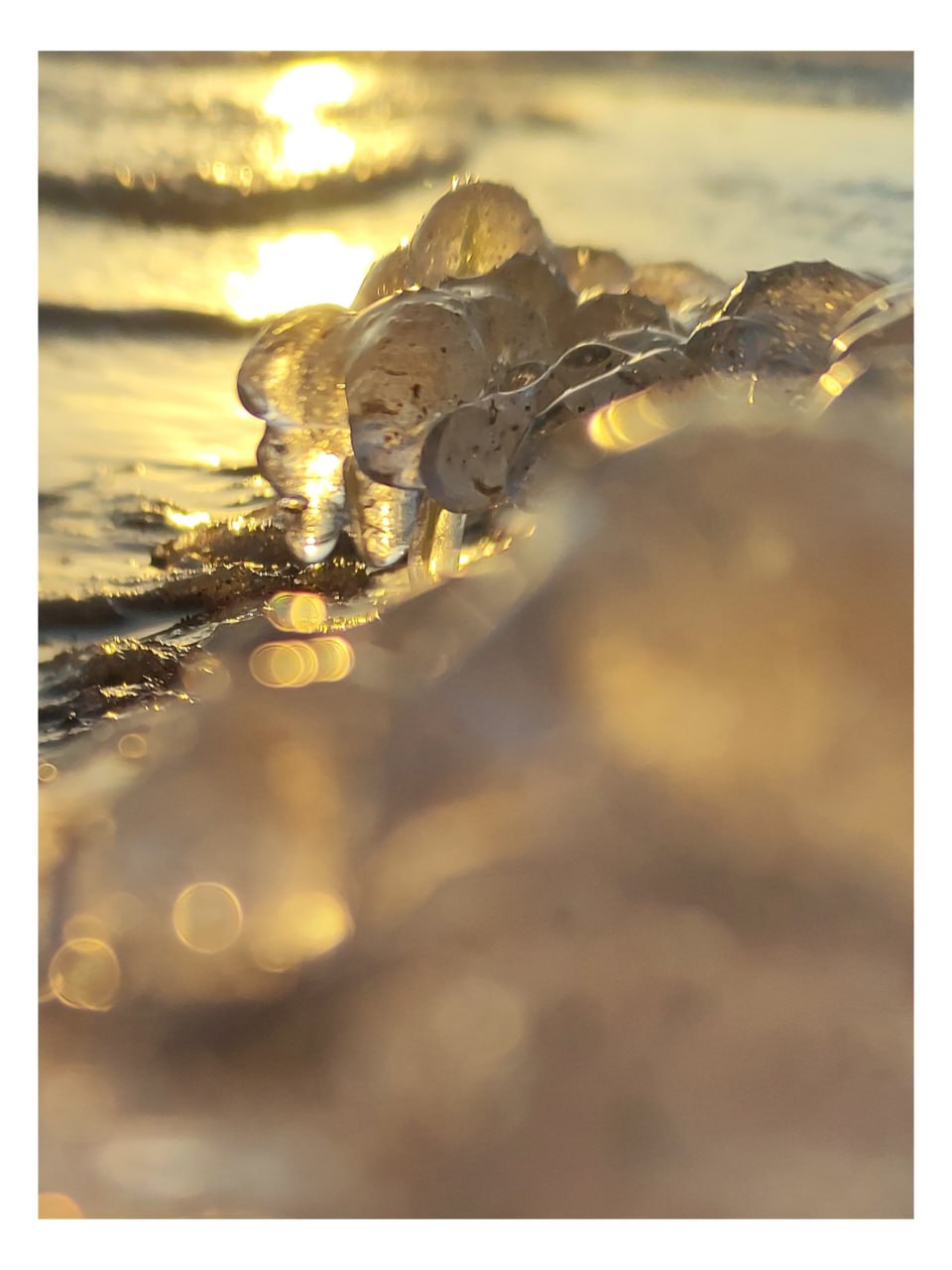 "Грозди винограда" на берегу Волги "Грозди винограда" на берегу Волги