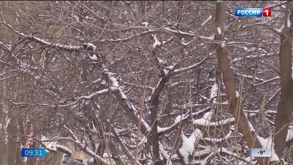 ������� � ����������� ������� �������������� ������ � ������ �����